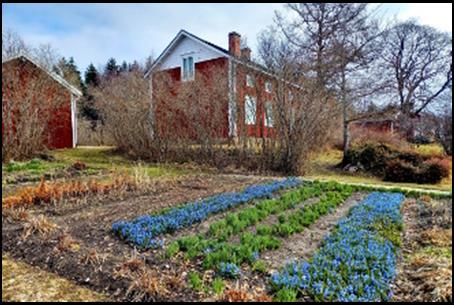 Malax Museiförening